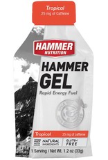 Hammer Nutrition GELS