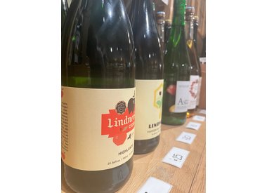 Cider, Mead, and Piquette