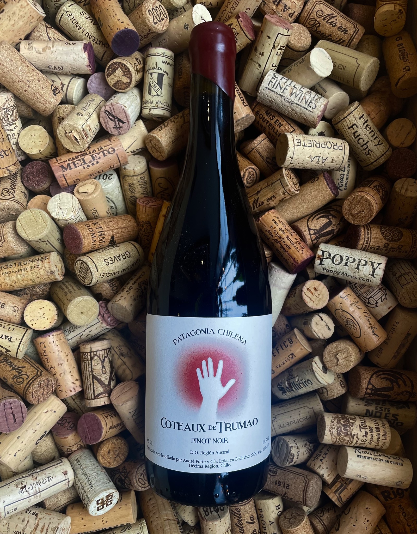 Coteaux de Trumao Pinot Noir Cruchon 2022 750ml