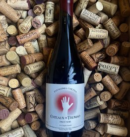 Coteaux de Trumao Pinot Noir Cruchon 2021 750ml