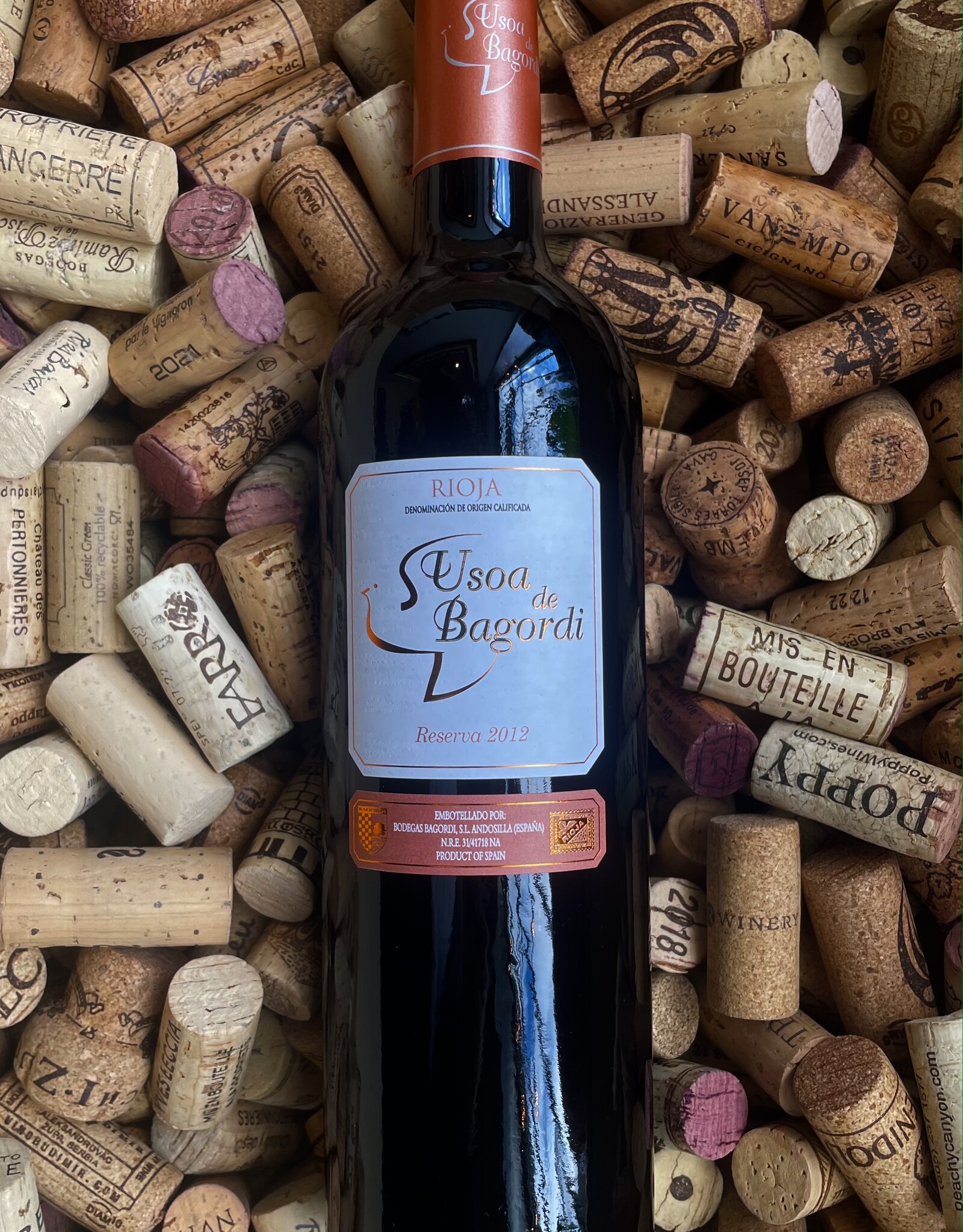 Bodegas Bagordi Usoa de Bagordi Rioja Reserva 2013 750ml