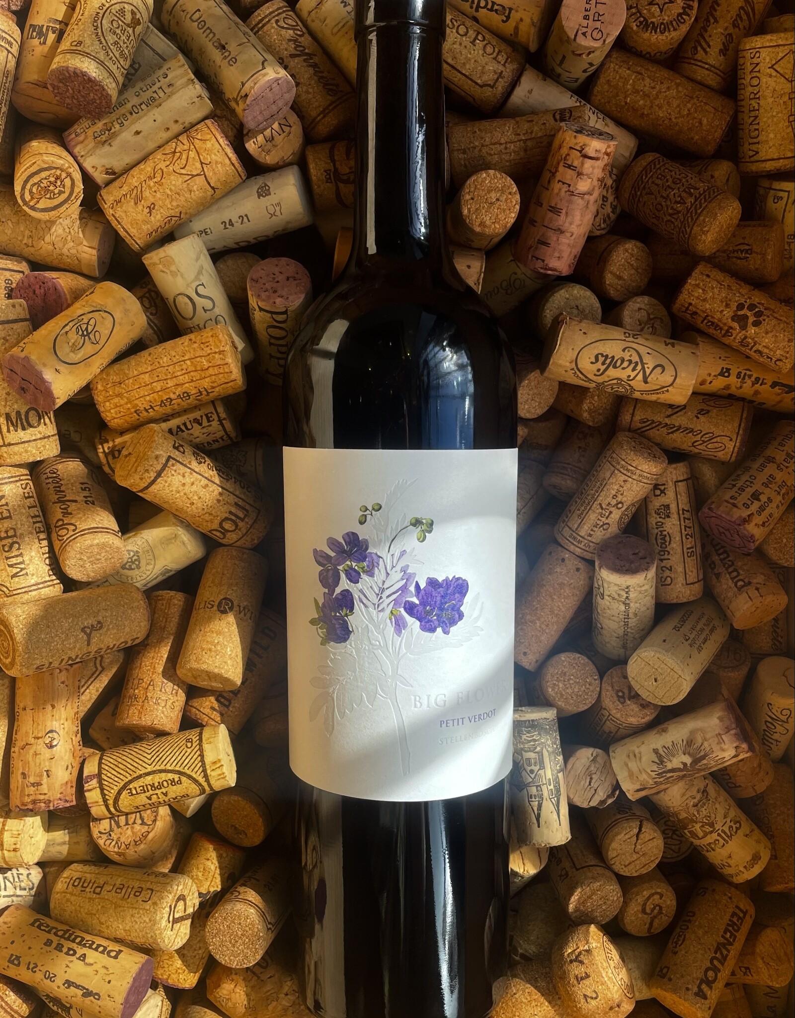 Big Flower Petit Verdot 2019 750ml