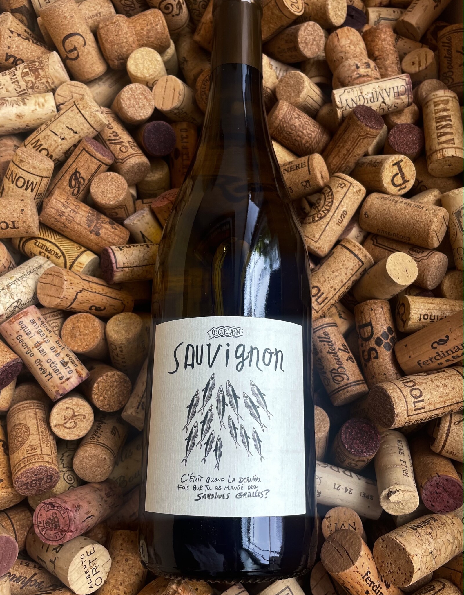Domaine Martin Loire Sauvignon Blanc Ocean 2024 750ml