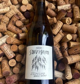 Domaine Martin Loire Sauvignon Blanc Ocean 2023 750ml