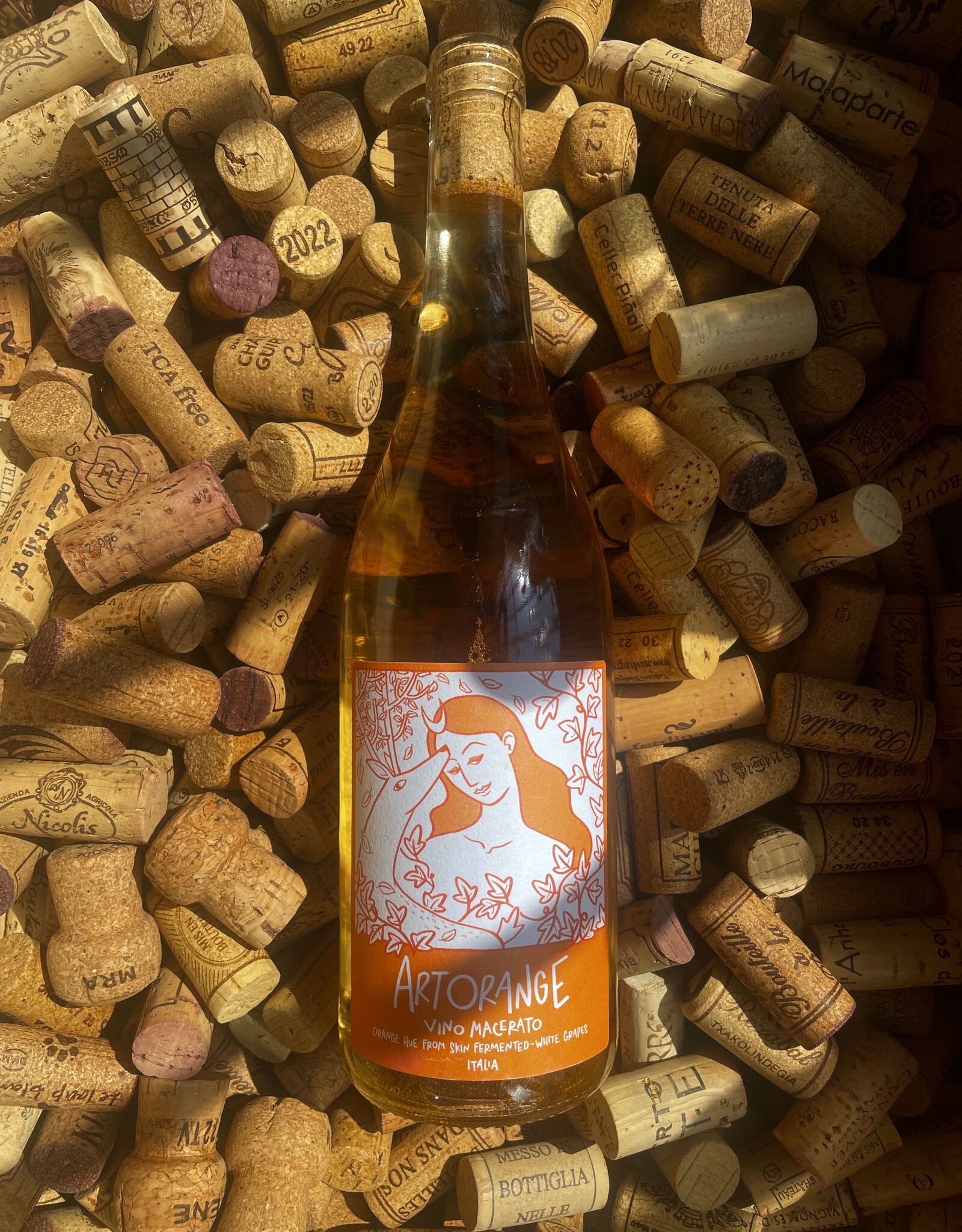 Passione Natura Artorange Abruzzo Vino Macerato 2023 750ml