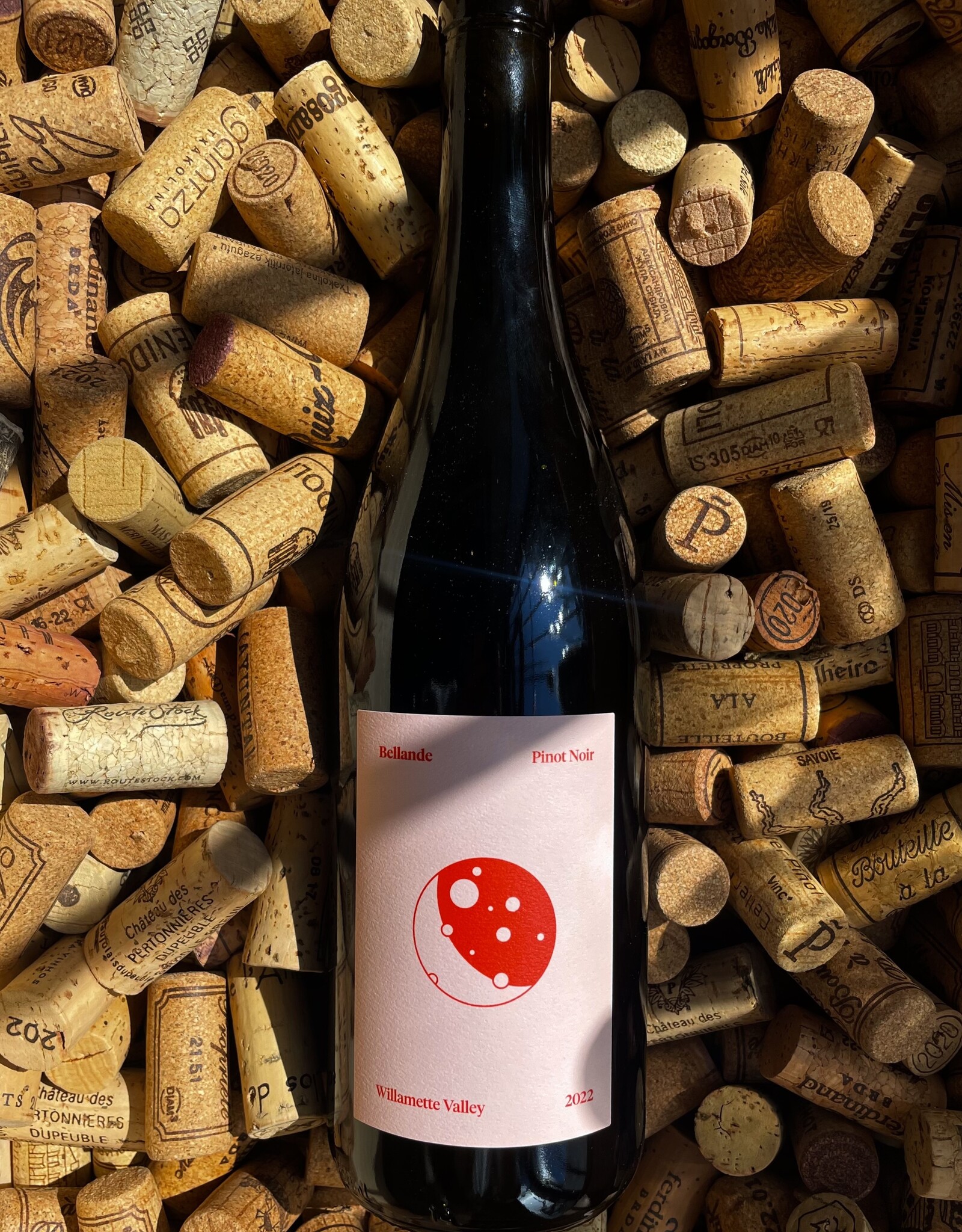 Bellande Pinot Noir 2024 750ml