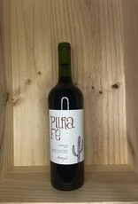 Antiyal Antiyal Pura Fe Carmenere Maipo Valley 2022 750ml