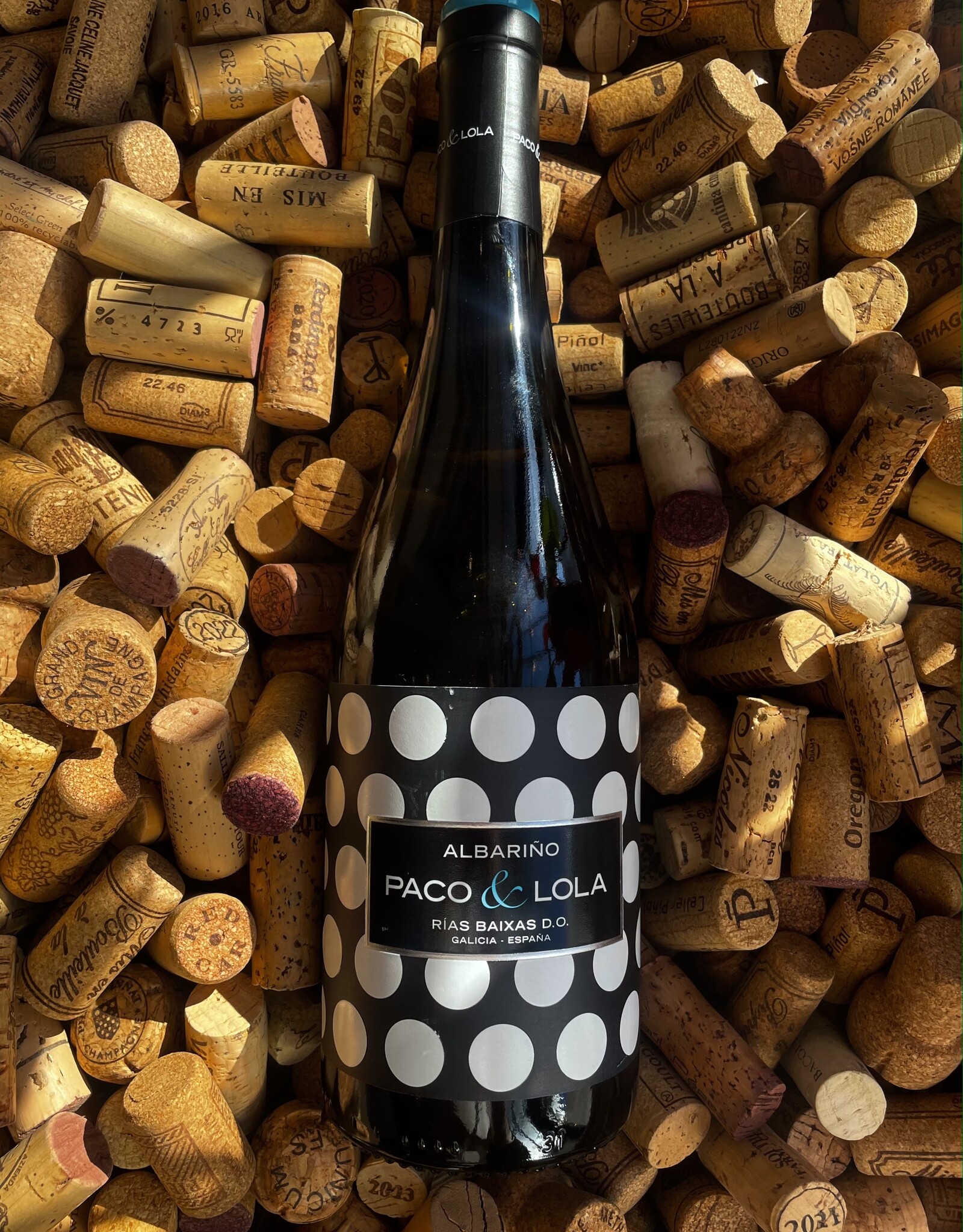 Paco & Lola Albarino 2025 750ml