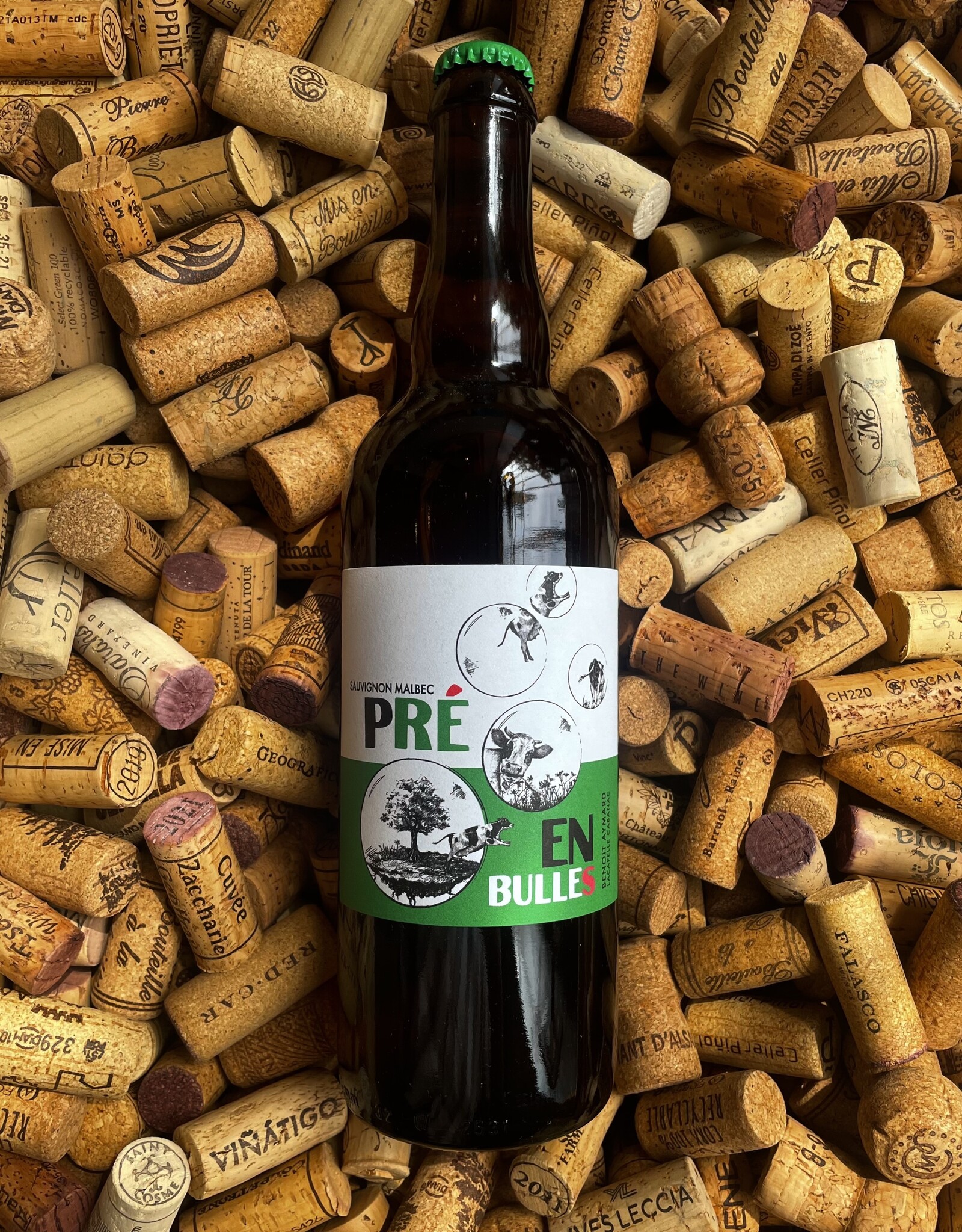 Benoit Aymard Pet-Nat Pre En Bulles NV 750ml