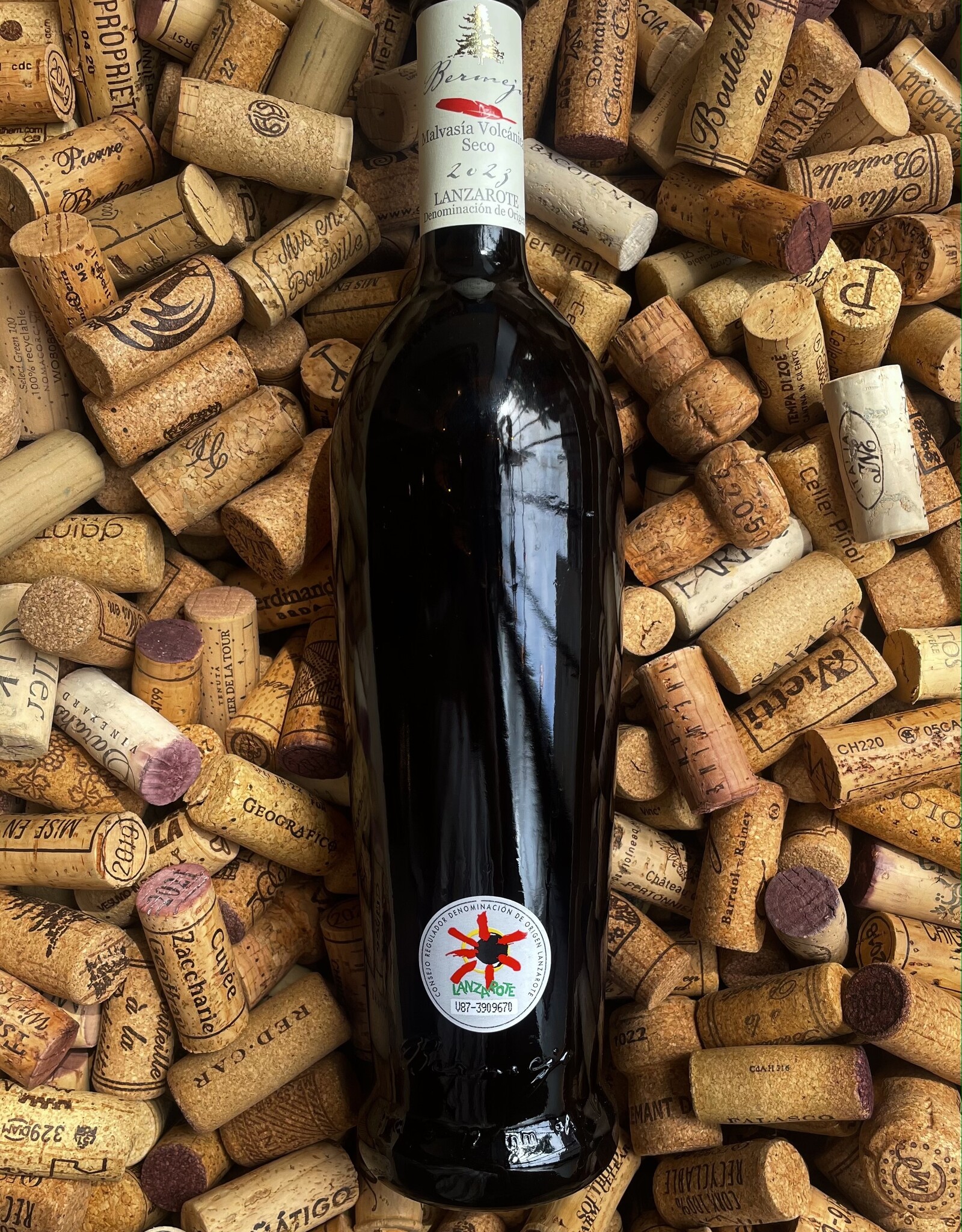 Bodegas Los Bermejos Bodegas Los Bermejos Lanzarote Malvasia Volcanica Seco 2024 750ml