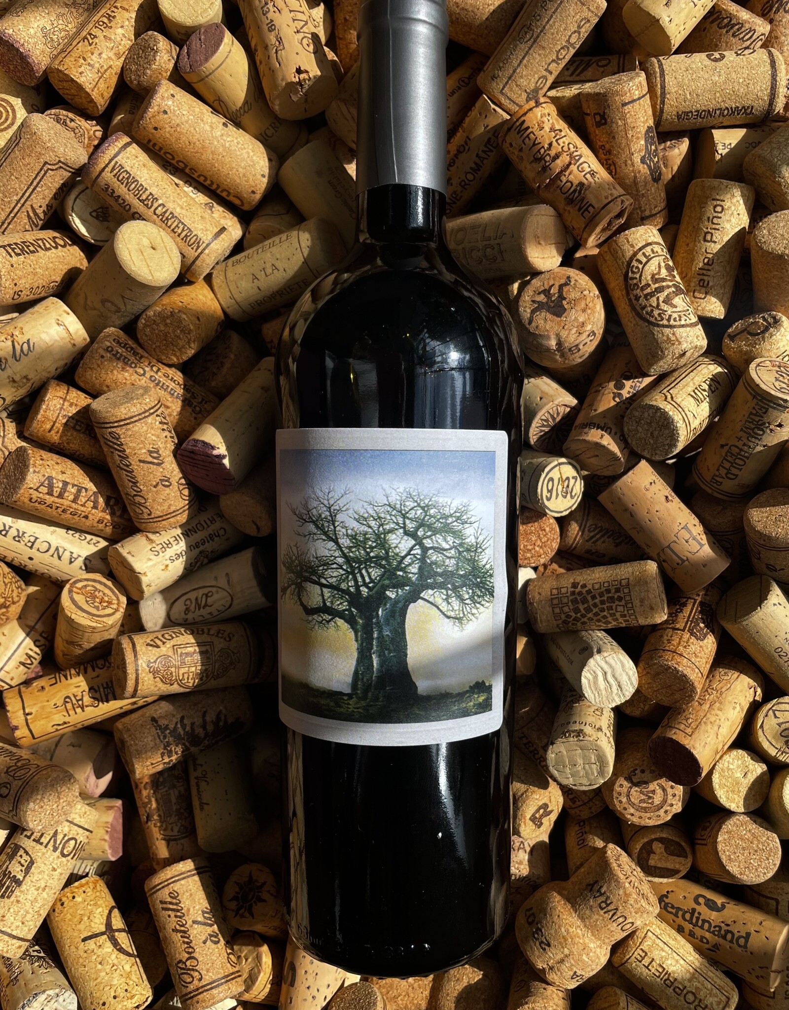 Jasper Raats Raincatcher Red Blend Stellenbosch 2020 750ml