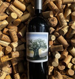 Jasper Raats Raincatcher Red Blend Stellenbosch 2020 750ml