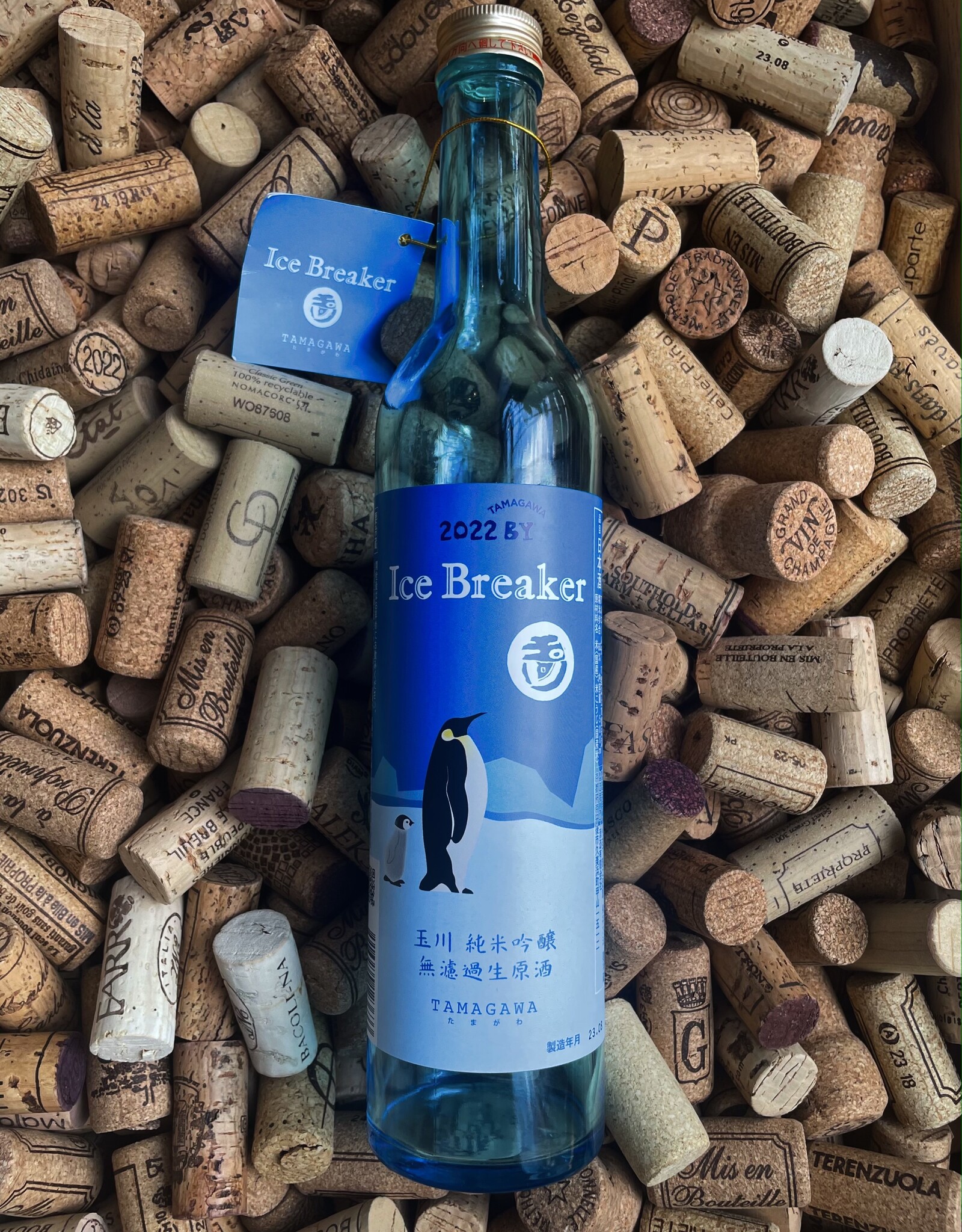 Tamagawa "Ice Breaker" Sake 2022 500ml
