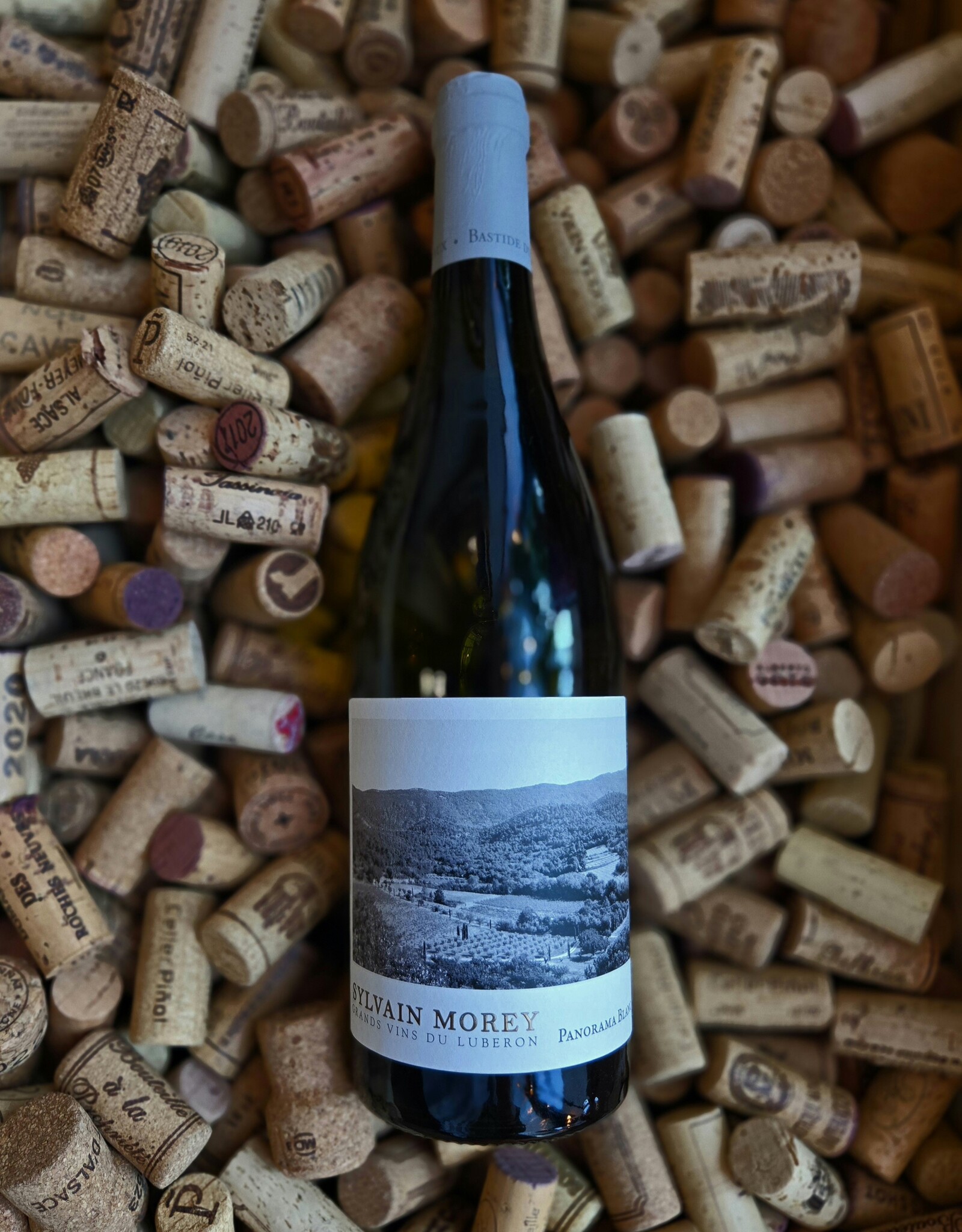 Domaine Sylvain Morey Bastide du Claux Panorama Luberon Blanc 2022 750ml