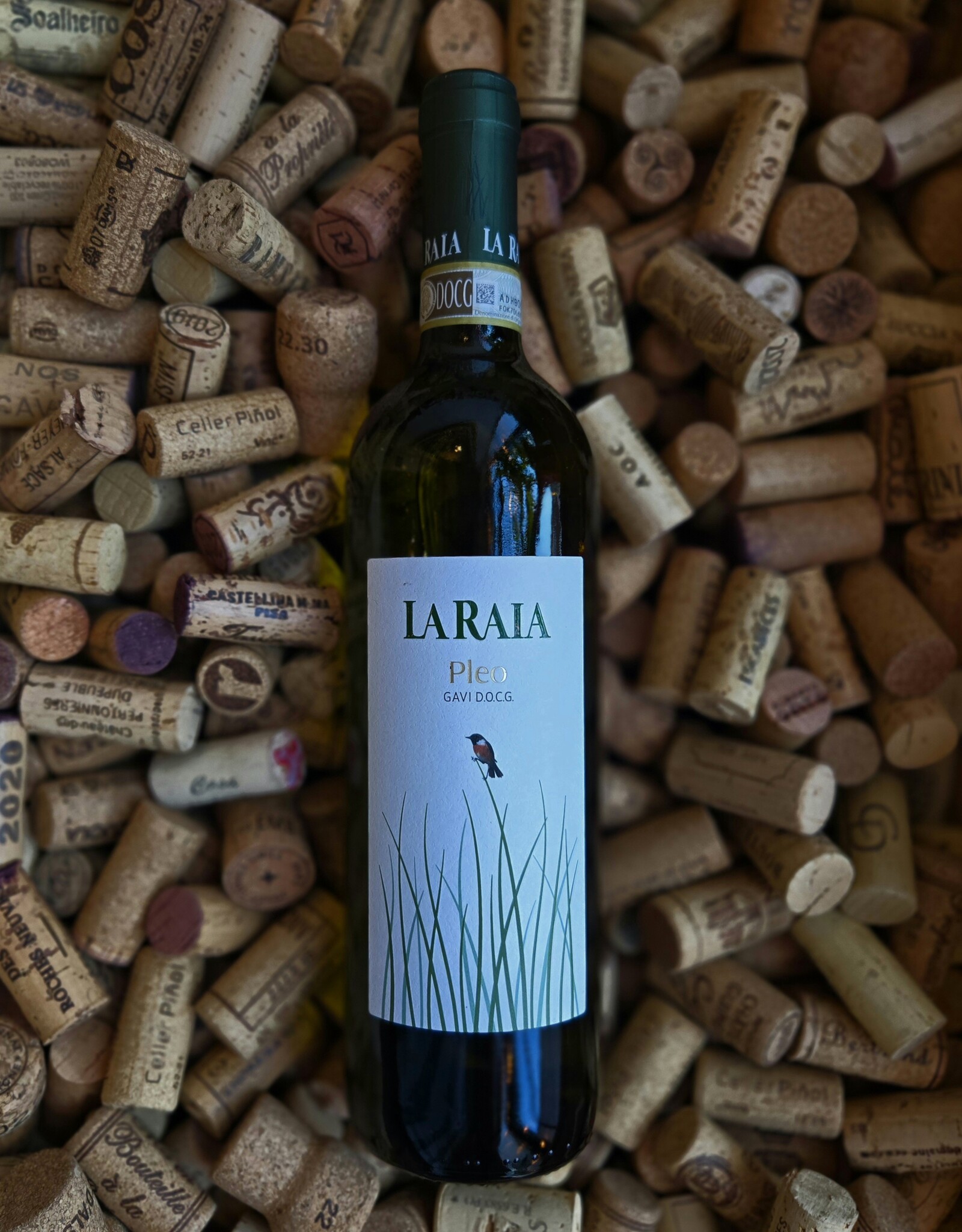 La Raia Gavi Pleo 2024 750ml