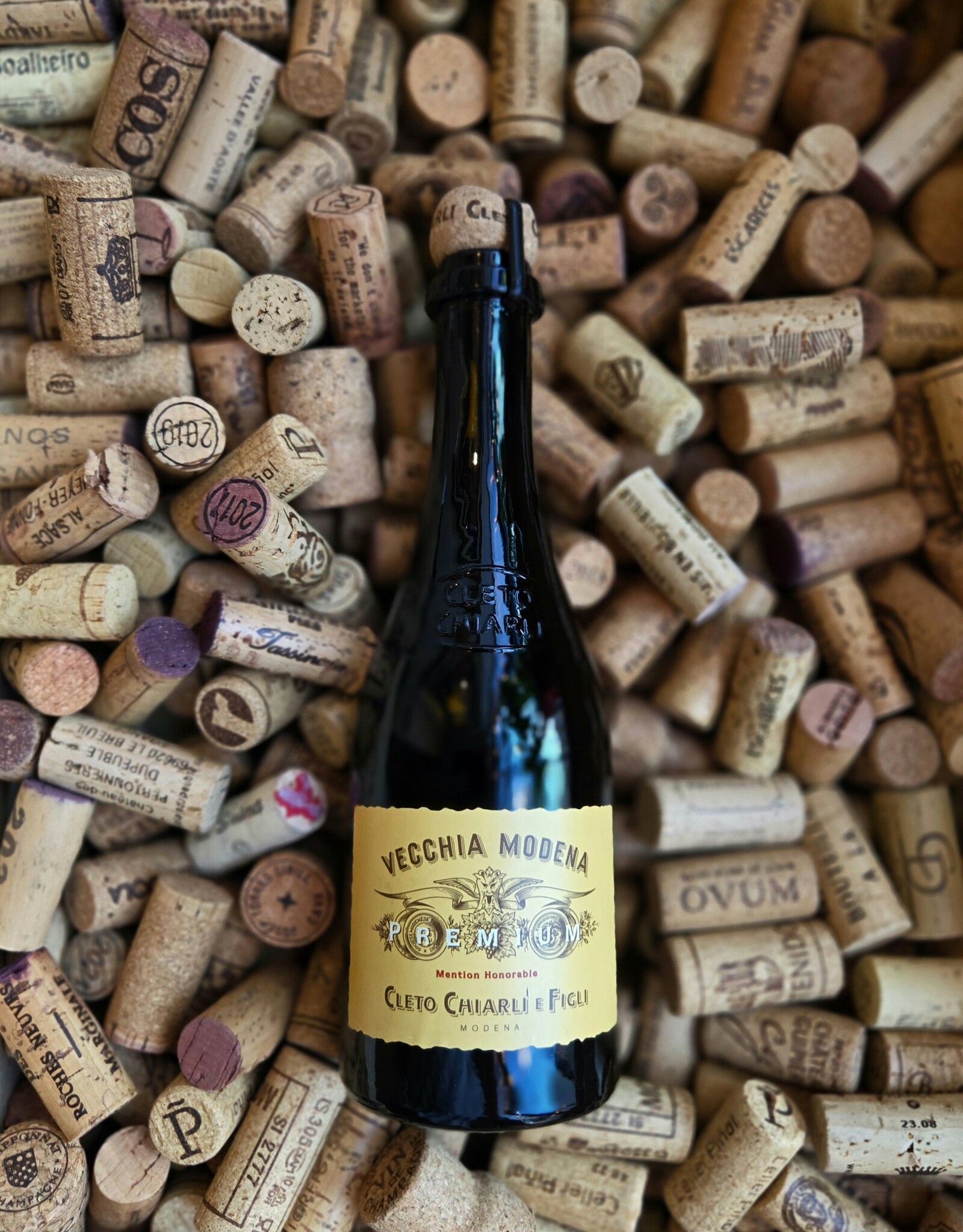 Cleto Chiarli Cleto Chiarli Lambrusco di Sorbara Secco 2023  HALF BOTTLES 375ml