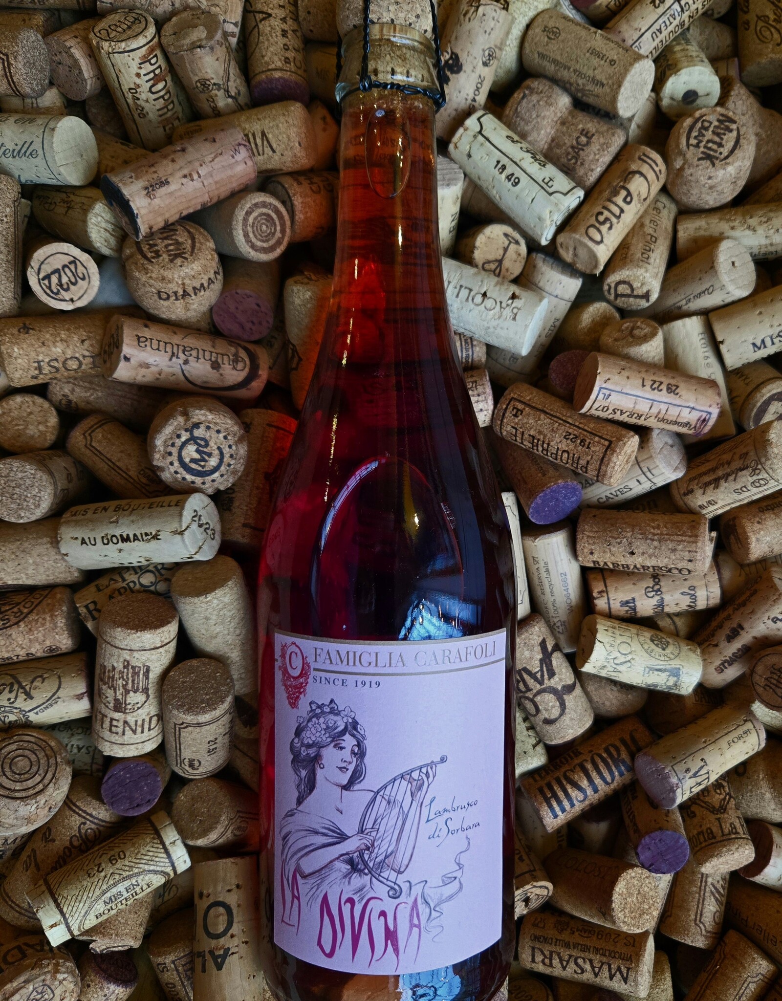 Famiglia Carofoli "La Divina" Lambrusco di Sorbara Pet-Nat NV 750ml