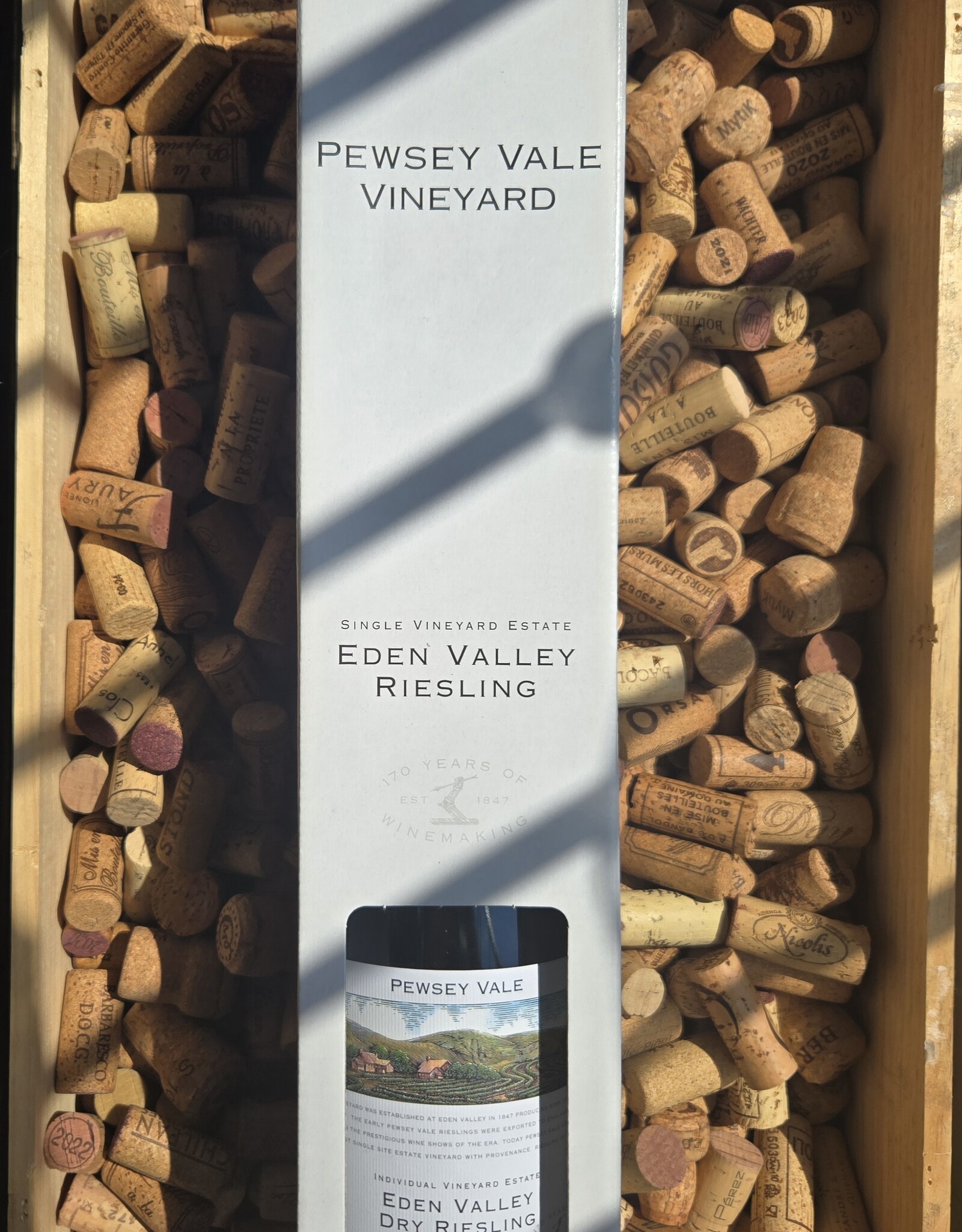 Pewsey Vale Pewsey Vale Dry Riesling MAGNUM 2019 1500ml
