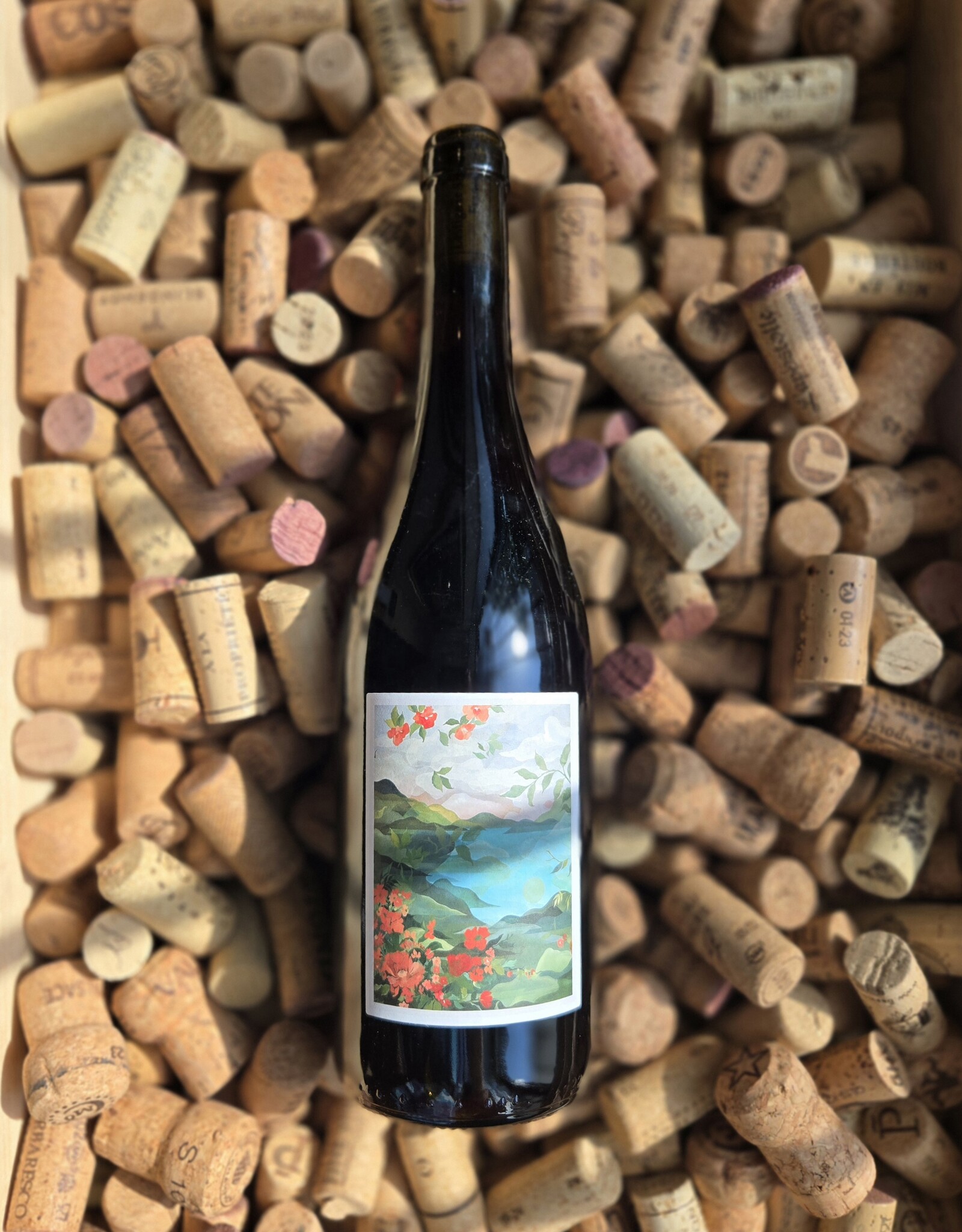 Chateau Lestignac Pagaille Rouge 2024 750ml
