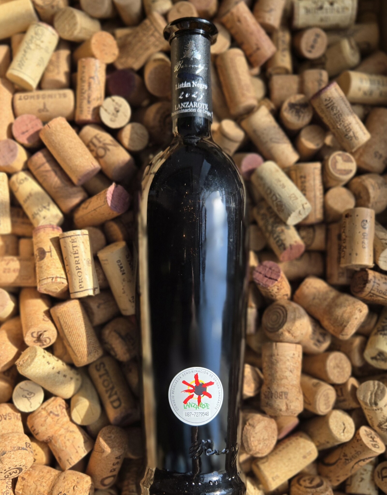 Bodegas Los Bermejos Bodegas Los Bermejos Lanzarote Listan Negro Maceracion Tradicional 2023 750ml
