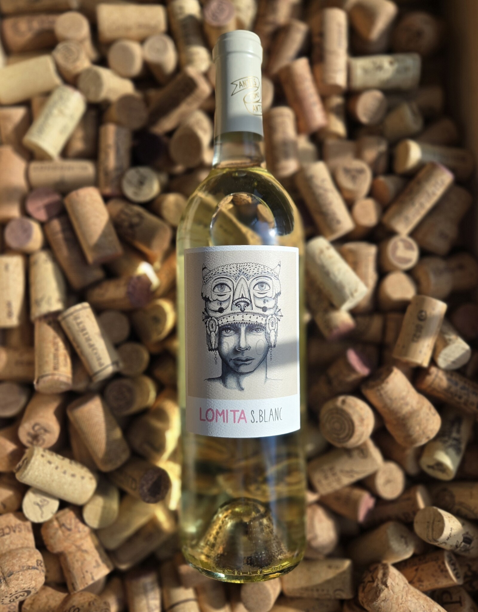 Hacienda La Lomita Sauvignon Blanc Valle de Guadalupe 2023 750ml