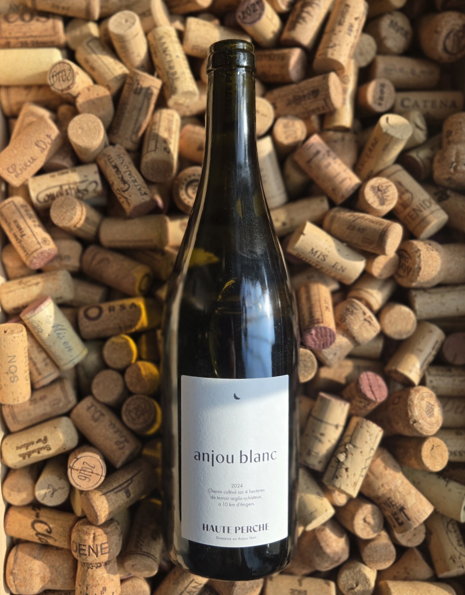 Domaine De Haute Perche Anjou Chenin Blanc 2024 750ml