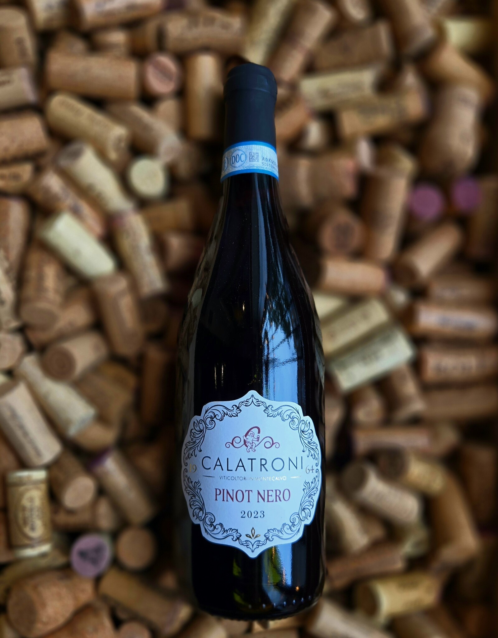 Calatroni Pinot Nero 2023 750ml