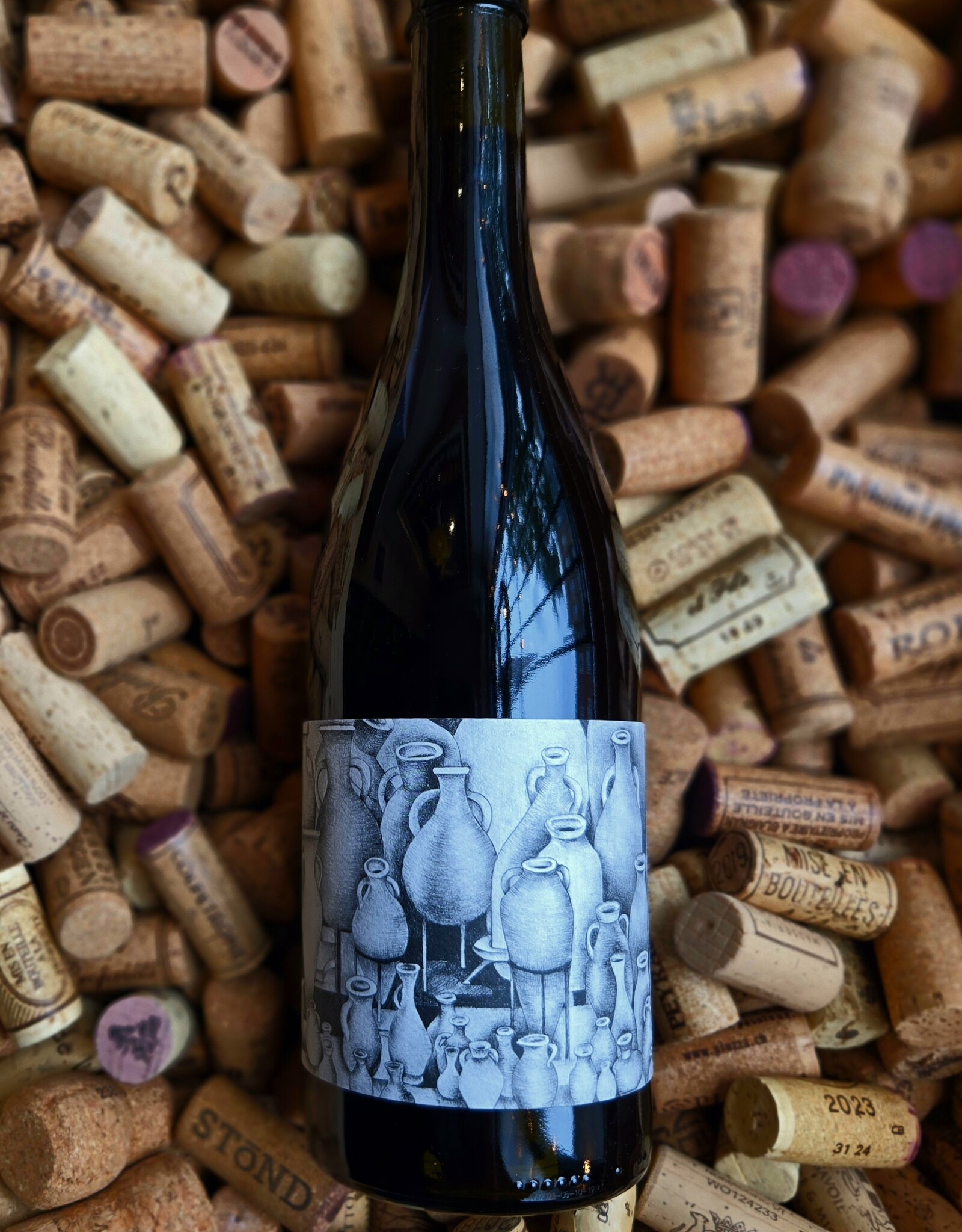 Paix Sur Terre Cinsault Glenrose Vineyard Easy Wind Adelaida District 2024 750ml