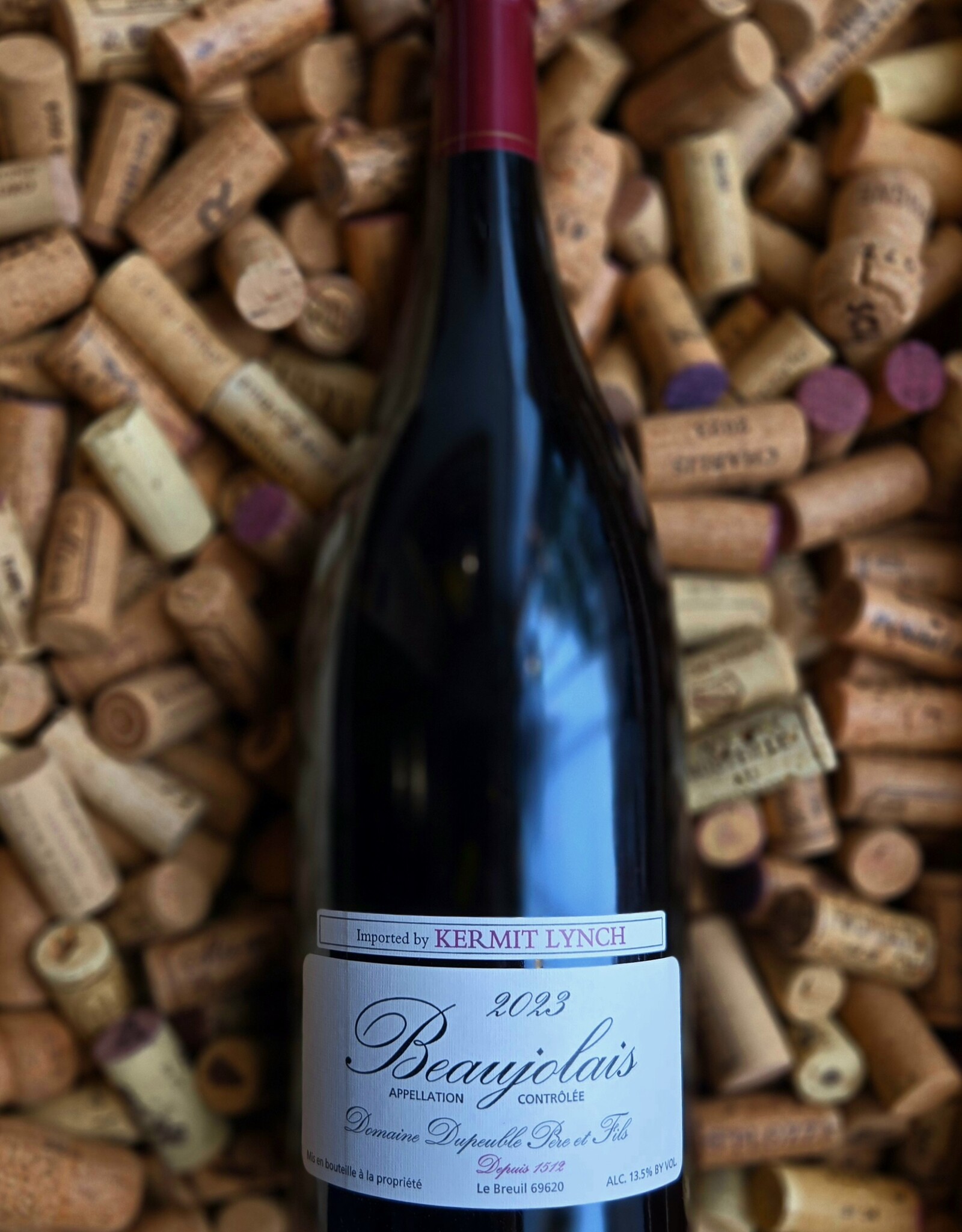 Domaine Dupeuble Beaujolais Rouge MAGNUM 2023 1500ml