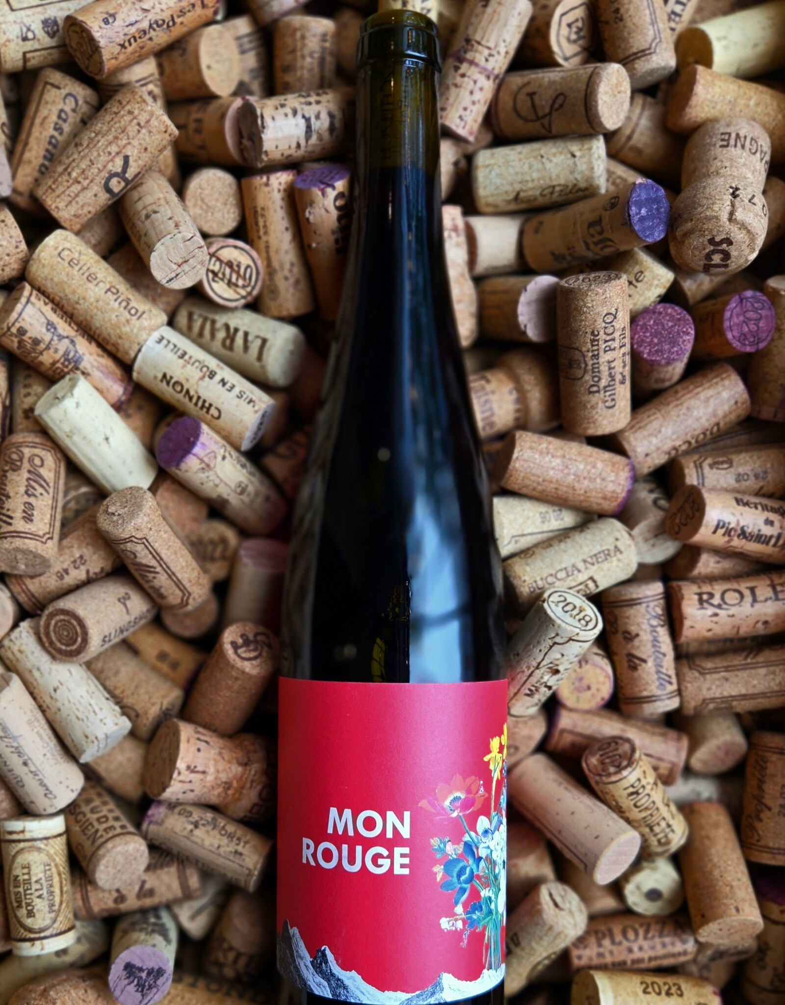 Weingut Jurtschitsch 'Mon Rouge' Kamptal 2023 750ml