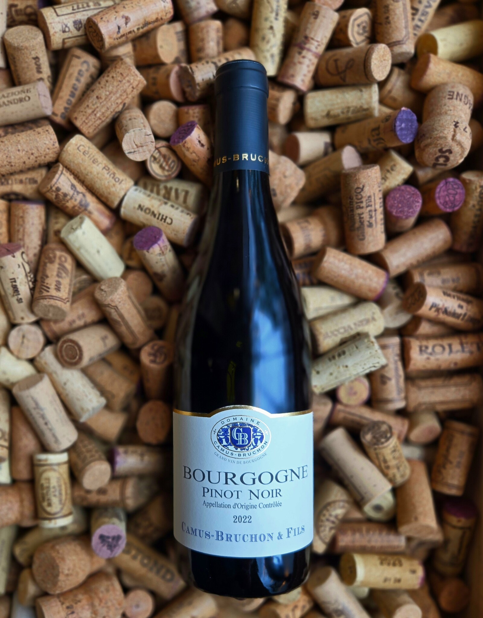 Camus - Bruchon Cote d'Or Bourgogne Rouge 2022 750ml