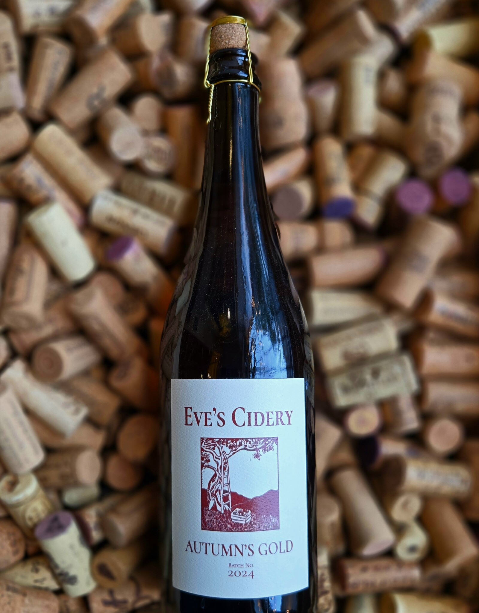 Eve’s Cidery Autumn’s Gold Sparkling Cider NV 750ml