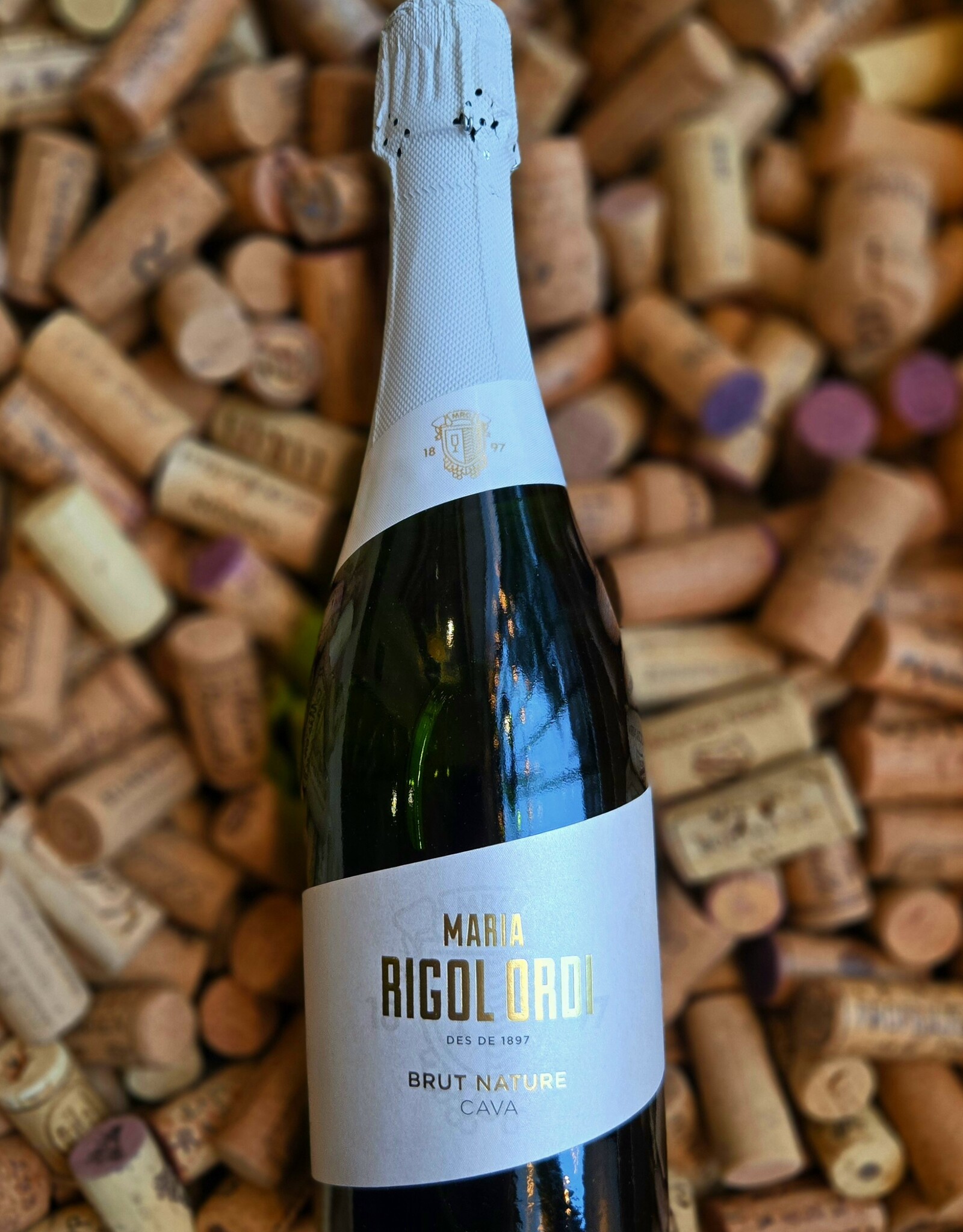 Maria Rigoli Ordi Cava Brut Nature 2022 750ml