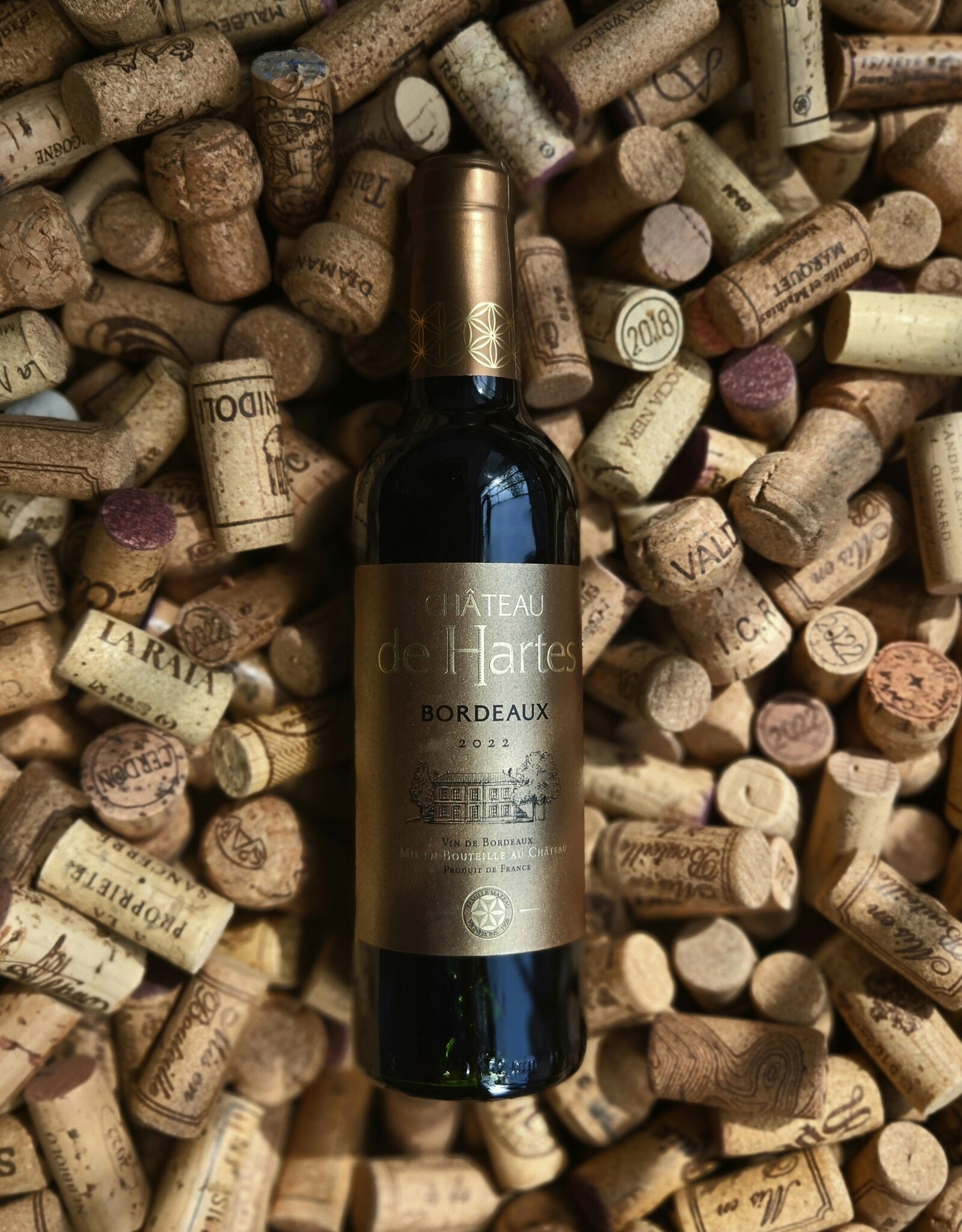 Chateau de Hartes Bordeaux Rouge HALF BOTTLES 2022 375ml