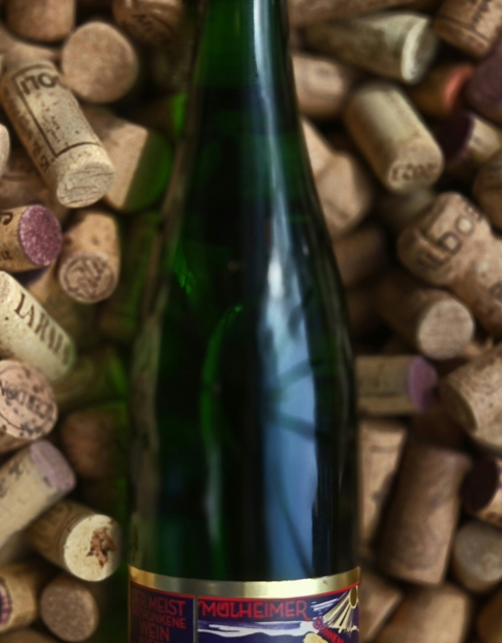 Max Ferdinand Richter Riesling Mulheimer Sonnenlay Zeppelin 2024 750ml