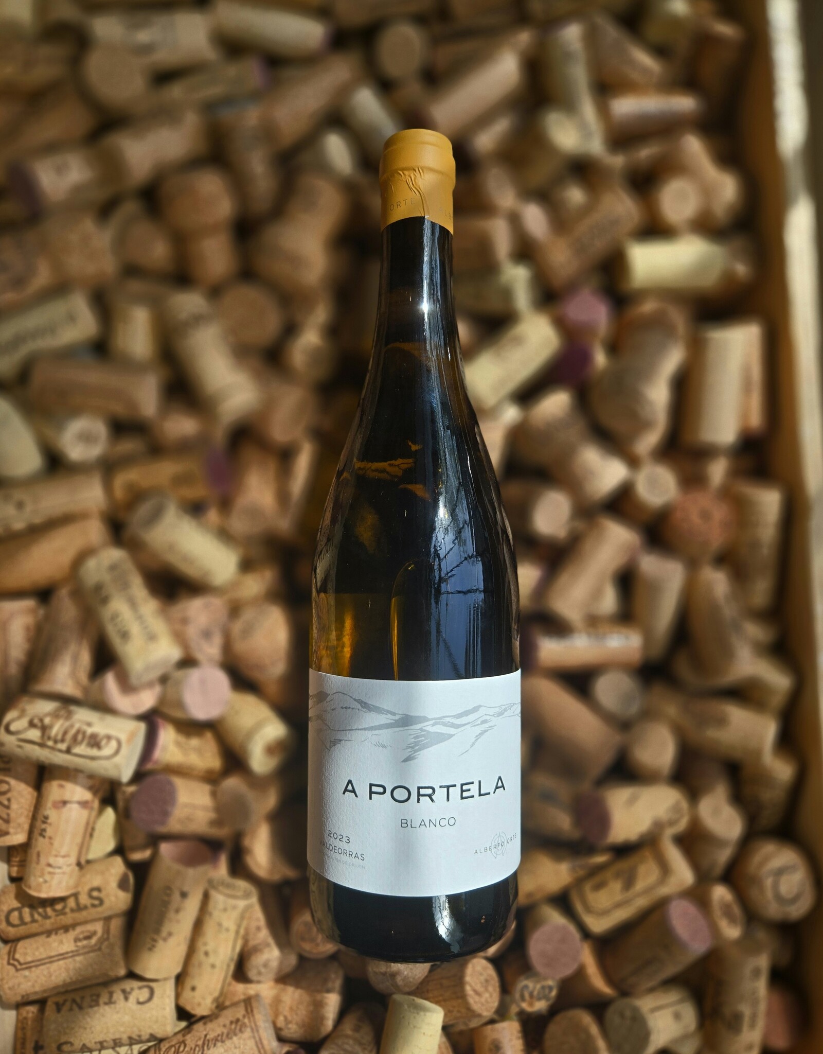 Alberto Orte Valdeorras A Godello 2019 750ml