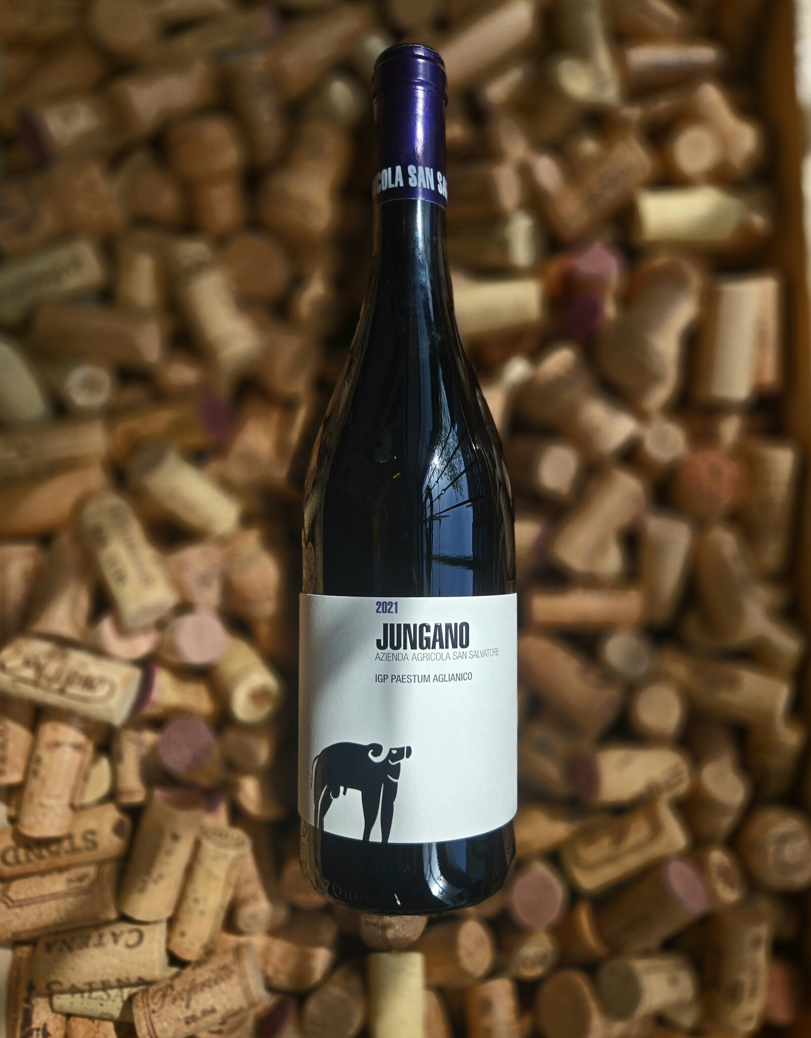 San Salvatore San Salvatore Jungano Aglianico  2021 750ml