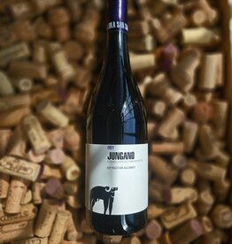 San Salvatore San Salvatore Jungano Aglianico  2021 750ml