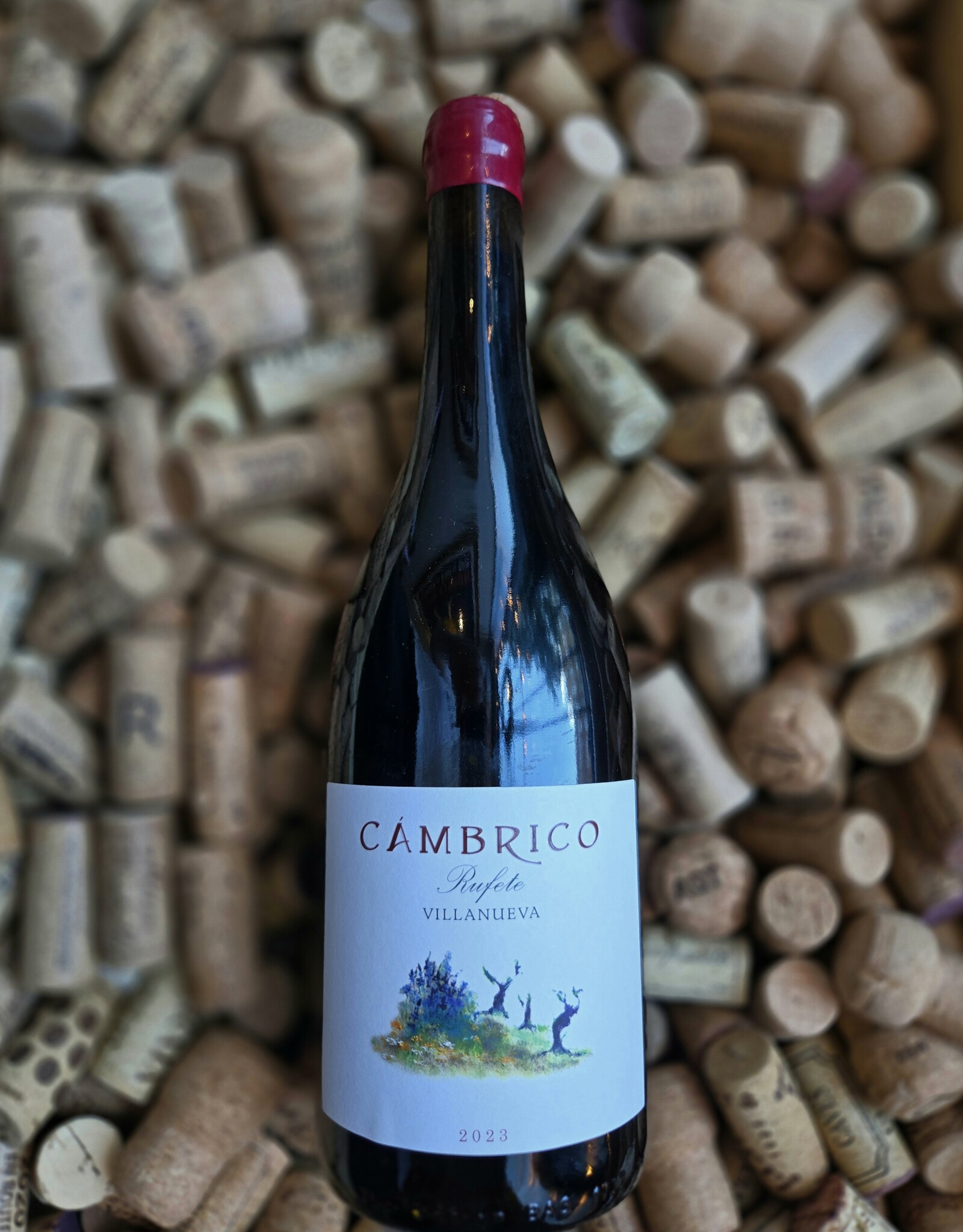 Cambrico Sierra de Salamanca Rufete 2023 750ml