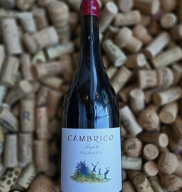Cambrico Sierra de Salamanca Rufete 2023 750ml