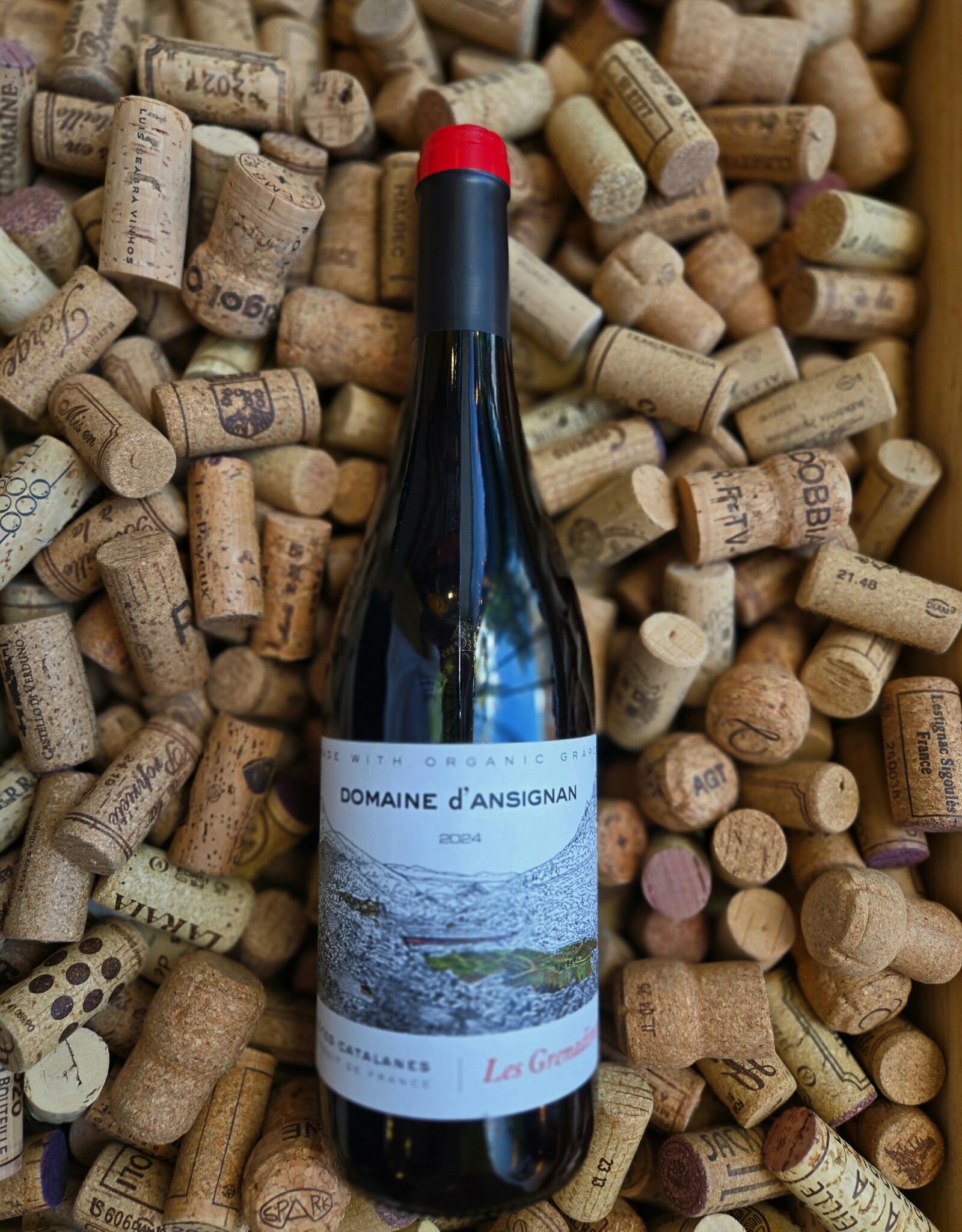 Domaine d’Ansignan Cotes Catalanes Les Grenadines 2024 750ml