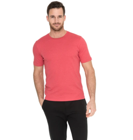 Raffi Crew Neck T-Shirt -*More Colors