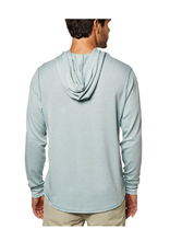 Toes on the Nose Toes..Sea Silk Schooner Hoodie