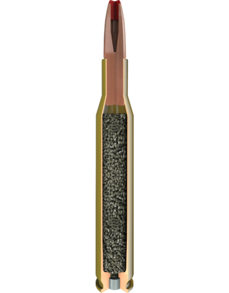 Hornady International - 8x57 JS , 180 gr, ECX, Box of 20 (822974)