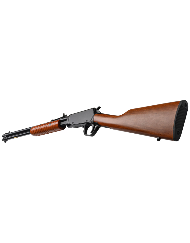 Rossi Gallery, Wood - 22 LR, 18" (RP22181WD)