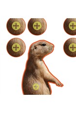 Allen EZ Aim - Prairie Dog Target, 8"x8", Pack of 13 (15210)