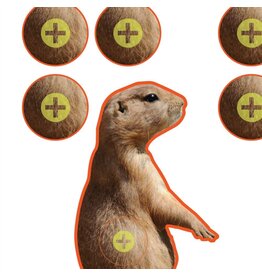 Allen EZ Aim - Prairie Dog Target, 8"x8", Pack of 13 (15210)