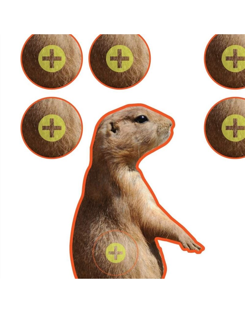 Allen EZ Aim - Prairie Dog Target, 8"x8", Pack of 13 (15210)