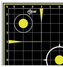 Allen Ez Air Splash - Reactive Paper Target, Sight-In Grid, 12"x12", Pack of 12 (15211)