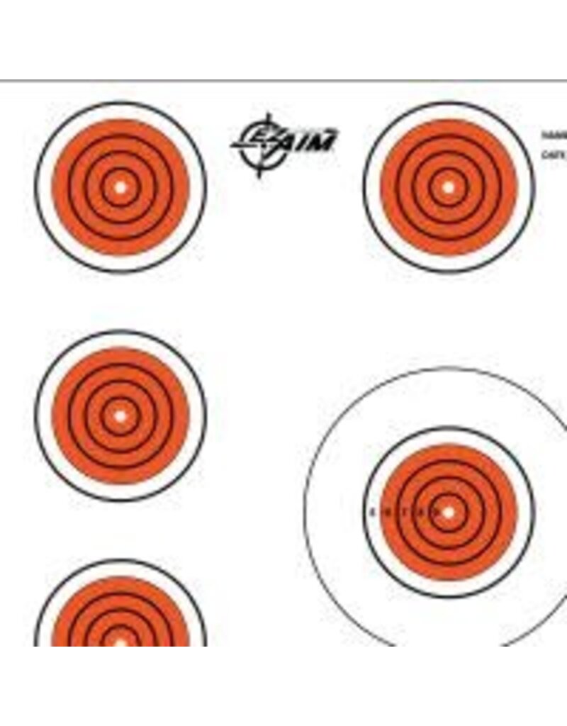 Allen EZ Aim - 11 Spot Paper Target, 12x12, 13 Pack (15245)